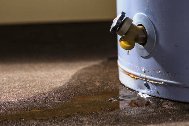 Best Flood restoration services  in Pierce, NE