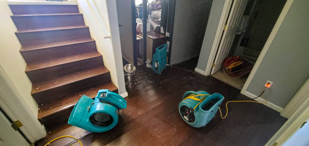 Best 24-hour water damage restoration  in Pierce, NE
