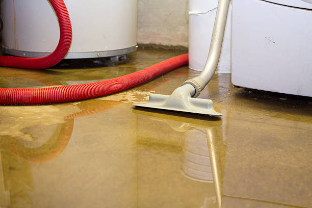 Best Flooded house restoration  in Pierce, NE