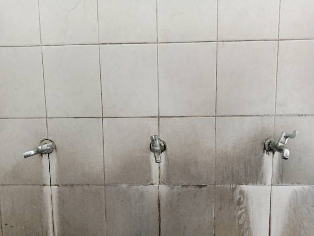Best Mold removal after water damage  in Pierce, NE