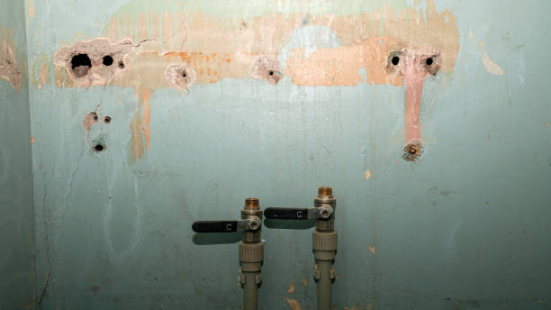 Sewage cleanup and water damage restoration in Pierce, NE