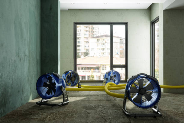 Best Sewage cleanup and water damage restoration  in Pierce, NE