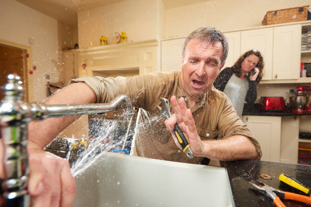 Best Mold removal after water damage  in Pierce, NE